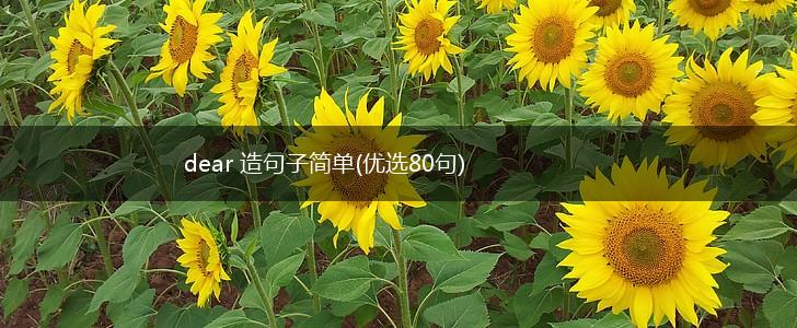 dear 造句子简单(优选80句),第1张