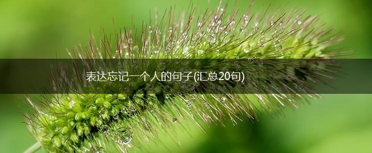 表达忘记一个人的句子(汇总20句),第1张