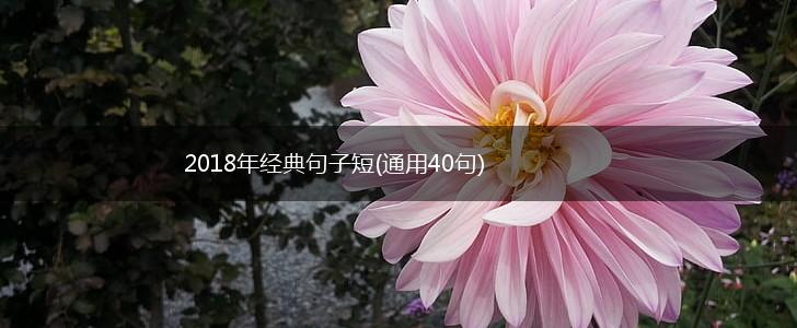 2018年经典句子短(通用40句),第1张