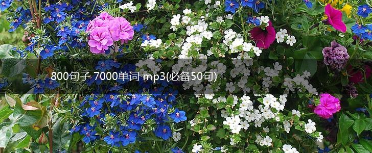 800句子 7000单词 mp3(必备50句),第1张