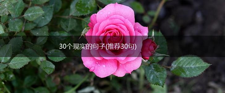 30个现实的句子(推荐30句),第1张