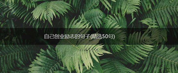 自己创业励志的句子(精选50句),第1张