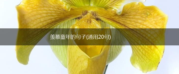 羡慕童年的句子(通用20句),第1张