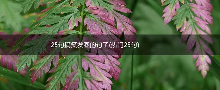 25句搞笑发圈的句子(热门25句),第1张