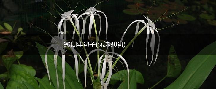 90周年句子(优选30句),第1张
