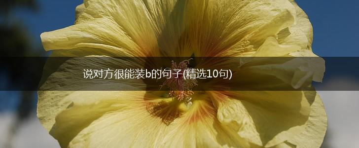 说对方很能装b的句子(精选10句),第1张