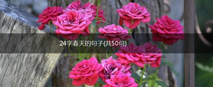 24字春天的句子(共50句),第1张