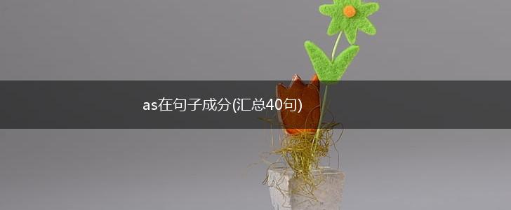 as在句子成分(汇总40句),第1张