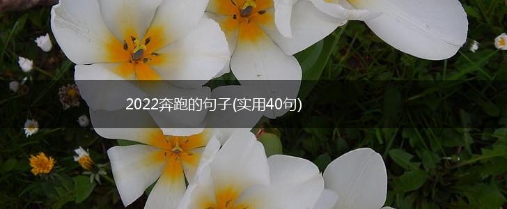 2022奔跑的句子(实用40句),第1张