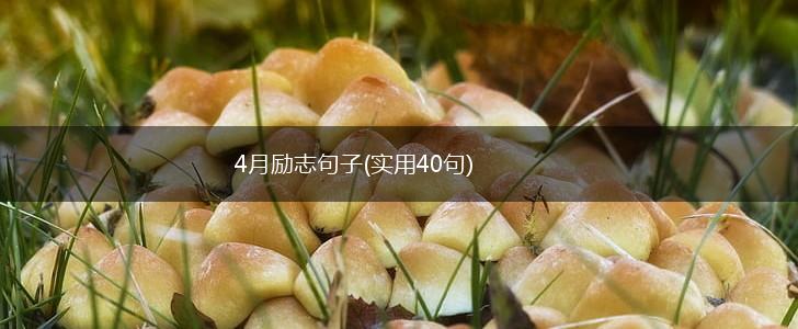 4月励志句子(实用40句),第1张