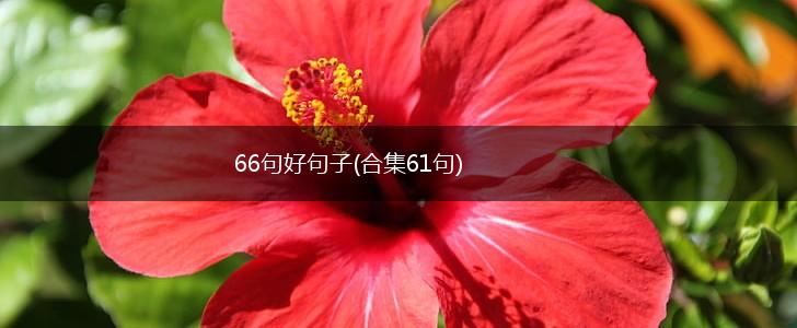 66句好句子(合集61句),第1张