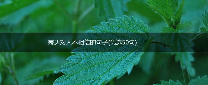 表达对人不相信的句子(优选50句),第1张