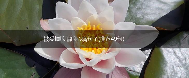 被爱情欺骗的心痛句子(推荐49句),第1张