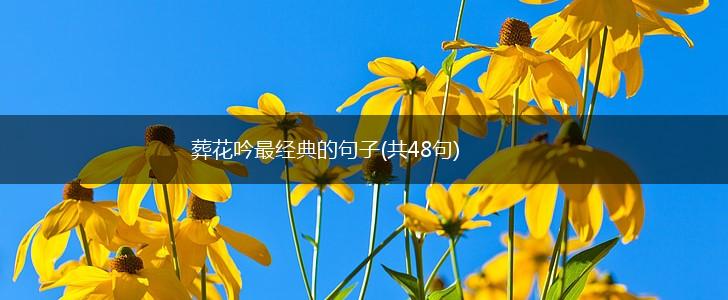 葬花吟最经典的句子(共48句),第1张