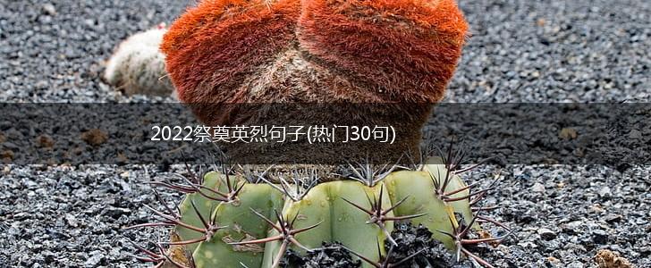 2022祭奠英烈句子(热门30句),第1张