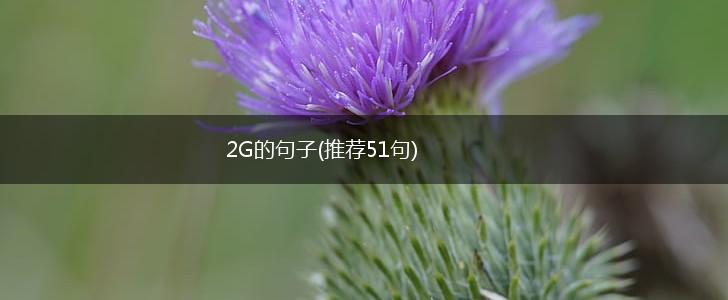 2G的句子(推荐51句),第1张