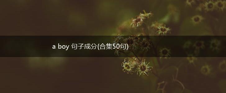 a boy 句子成分(合集50句),第1张