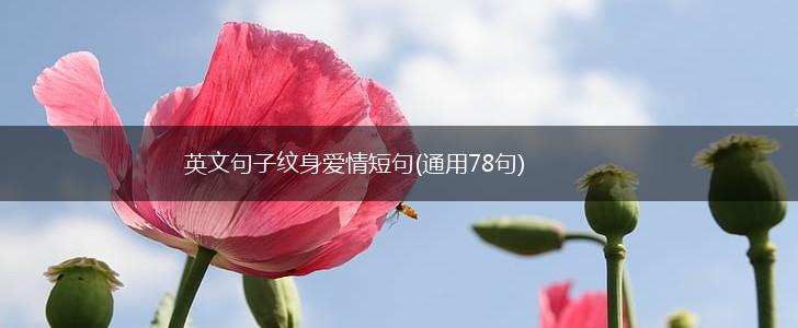 英文句子纹身爱情短句(通用78句),第1张