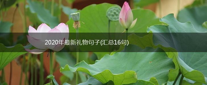 2020年最新礼物句子(汇总16句),第1张