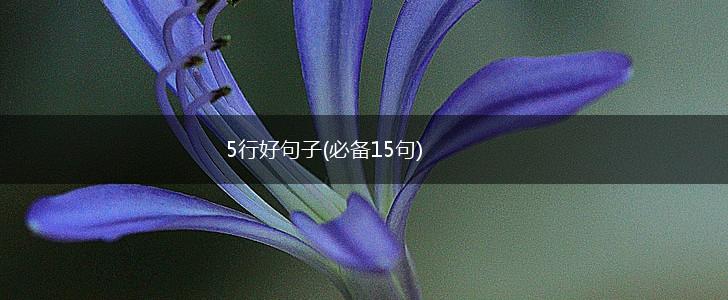 5行好句子(必备15句),第1张
