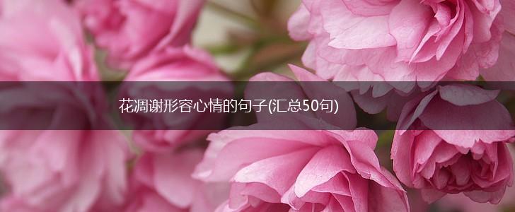 花凋谢形容心情的句子(汇总50句),第1张