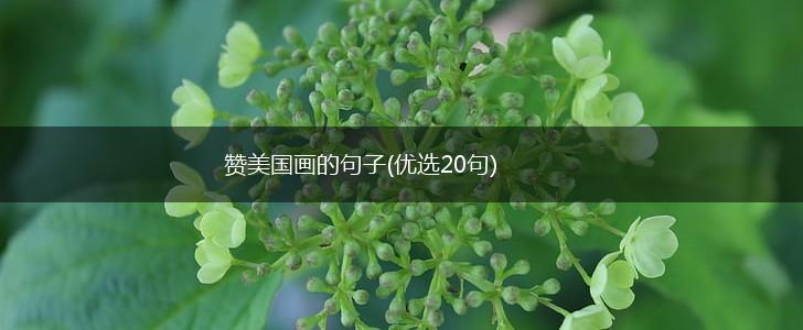赞美国画的句子(优选20句),第1张