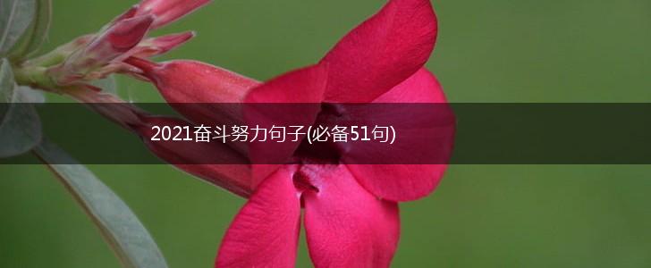 2021奋斗努力句子(必备51句),第1张
