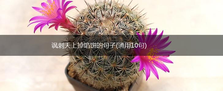 讽刺天上掉馅饼的句子(通用10句),第1张