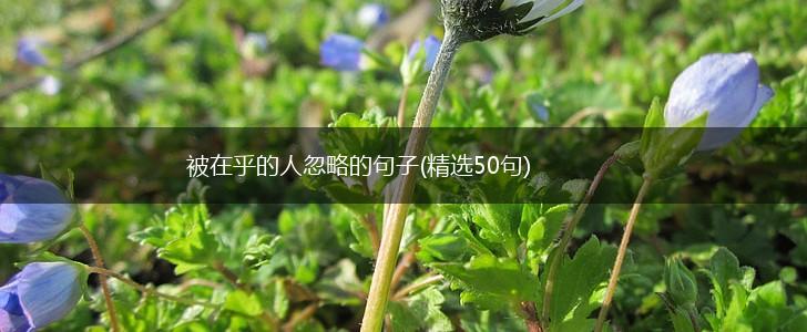被在乎的人忽略的句子(精选50句),第1张
