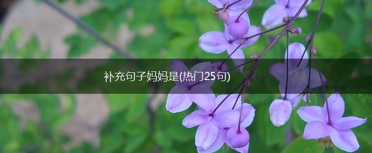 补充句子妈妈是(热门25句),第1张