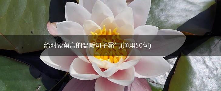 给对象留言的温暖句子霸气(通用50句),第1张