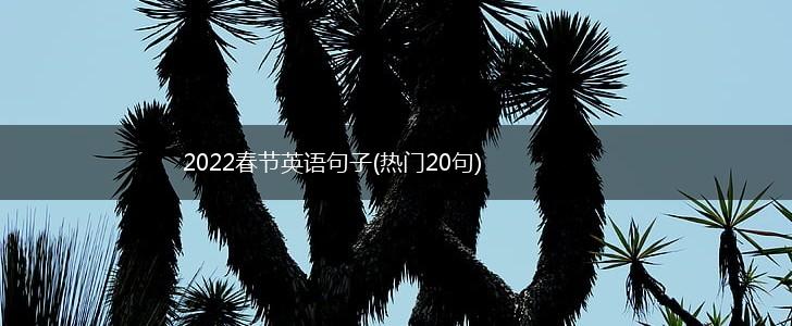 2022春节英语句子(热门20句),第1张
