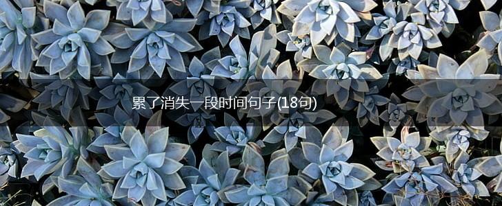 累了消失一段时间句子(18句),第1张