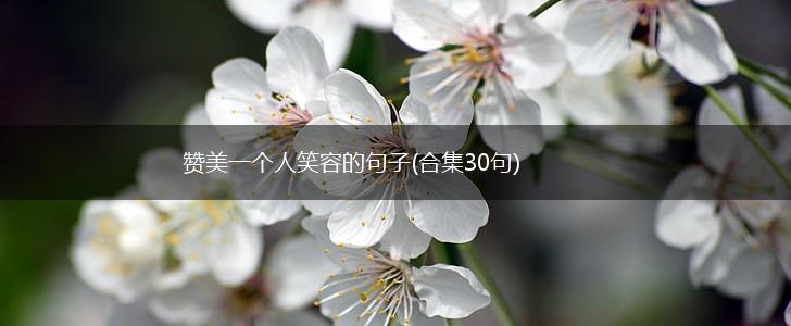 赞美一个人笑容的句子(合集30句),第1张