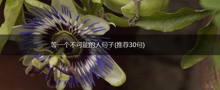 等一个不可能的人句子(推荐30句),第1张
