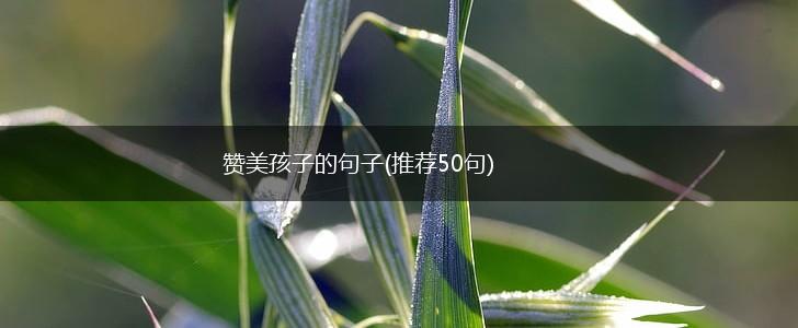 赞美孩子的句子(推荐50句),第1张