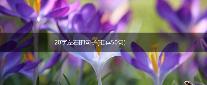 20字左右的句子(推荐50句),第1张