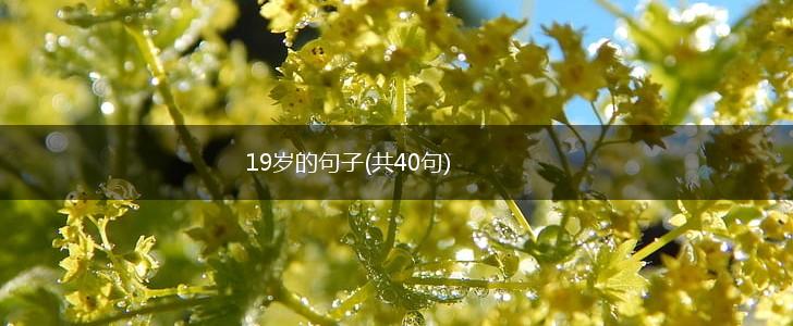 19岁的句子(共40句),第1张