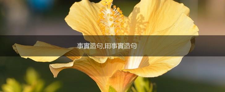 事實造句,用事實造句,第1张