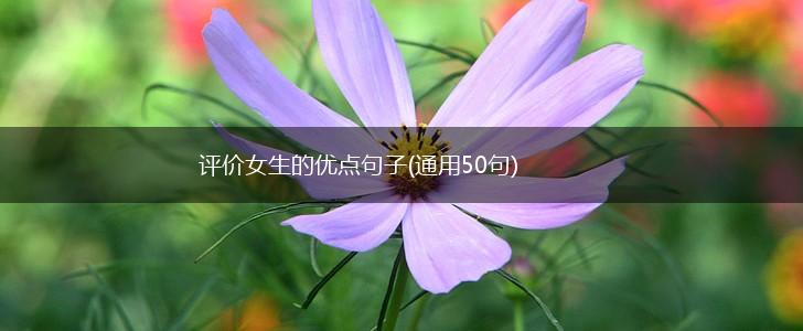 评价女生的优点句子(通用50句),第1张