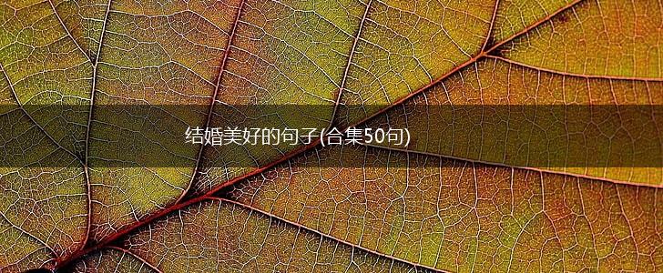 结婚美好的句子(合集50句),第1张