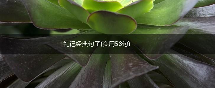 礼记经典句子(实用58句),第1张