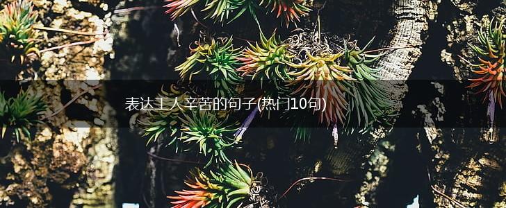 表达工人辛苦的句子(热门10句),第1张