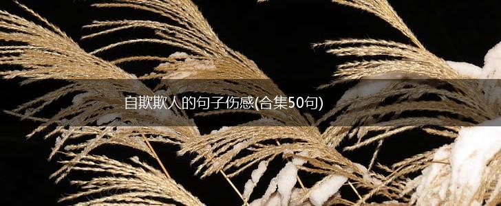 自欺欺人的句子伤感(合集50句),第1张