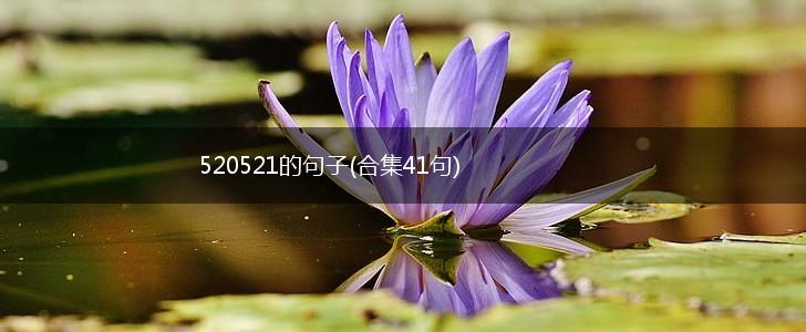 520521的句子(合集41句),第1张