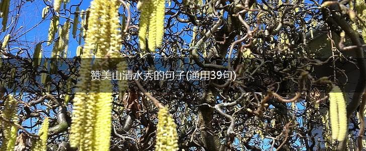 赞美山清水秀的句子(通用39句),第1张
