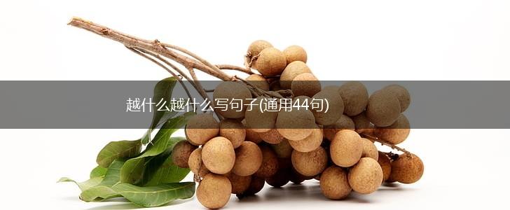越什么越什么写句子(通用44句),第1张