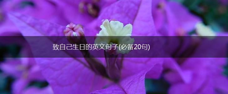 致自己生日的英文句子(必备20句),第1张