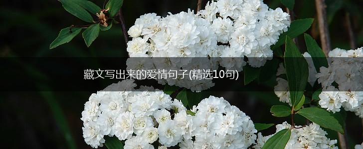 藏文写出来的爱情句子(精选10句),第1张