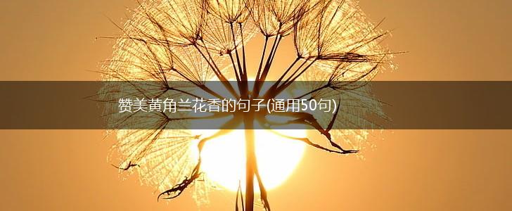 赞美黄角兰花香的句子(通用50句),第1张